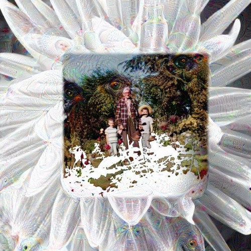 The Luminous Gardens