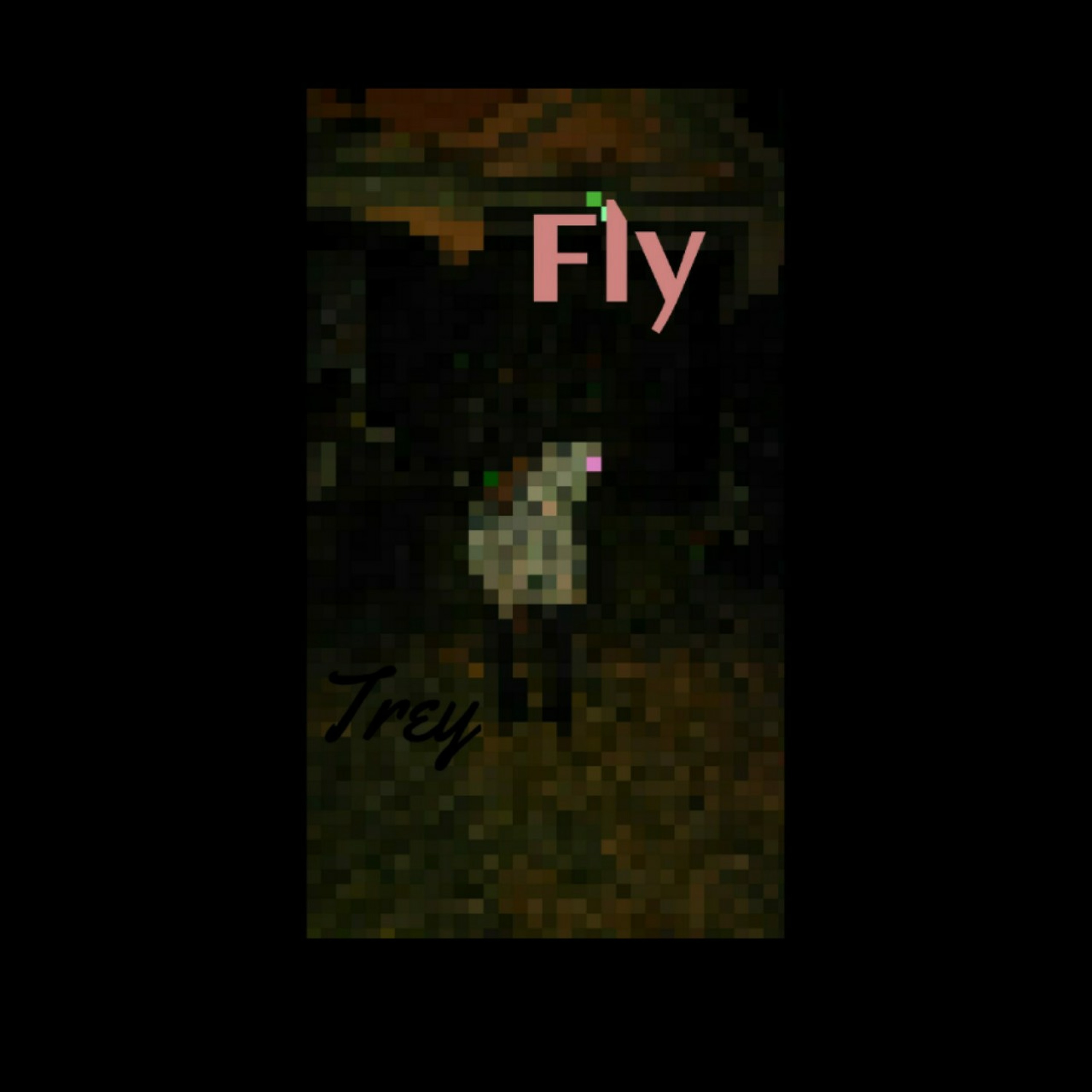 Fly episode artwork