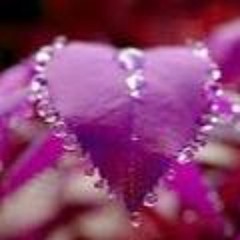 New Song 2015 Tujhe Pyar Karte Karte