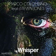 Circling Voltures (Original Mix)