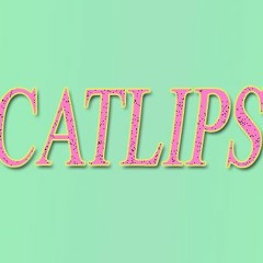 Catlips JJJ MixUp 28.11.15