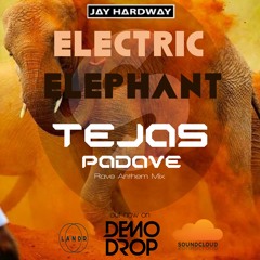 Jay Hardway - Electric Elephants (Rave anthem mix)