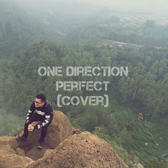 1D - Perfect (cover) ft. @diazmaulana