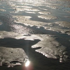 Never Say Never Again - Andrey Bashev