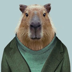 Max & Henk @ FORMAT ´15