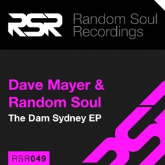 Random Soul & Dave Mayer - Sydney To The Dam