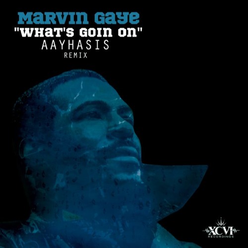Marvin Gaye  "What's Goin On" (AAyhasis RMX)