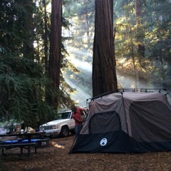 Big Sur Trip