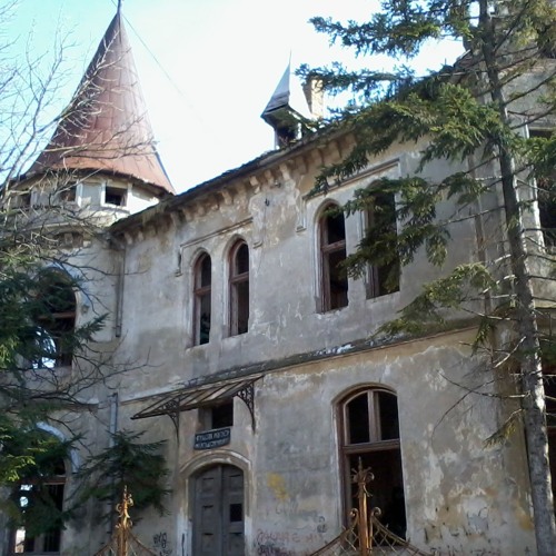 BASMA IX