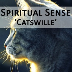 Spiritual Sense - Catswille (ASMR Mix)