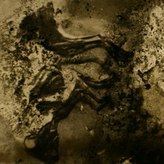 DEAD RABBITS - DDM 004