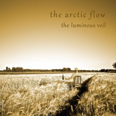 The Arctic Flow - When We Were Something