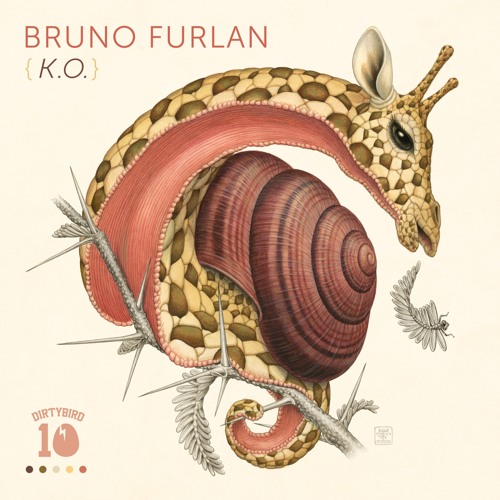 Bruno Furlan - K.O. [PREVIEW]