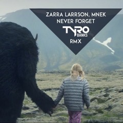 Zarra Larrson, Mnek - Never Forget You(Tyro Banks Remix)