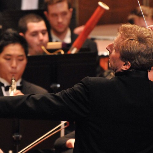 Mahler: Symphony no 5 in C sharp minor Scherzo Kraftig nicht zu schnell