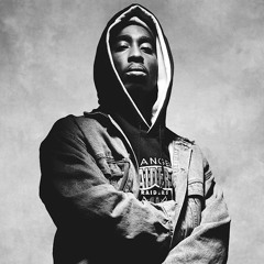 flamboyant 2pac fuckallyall remix