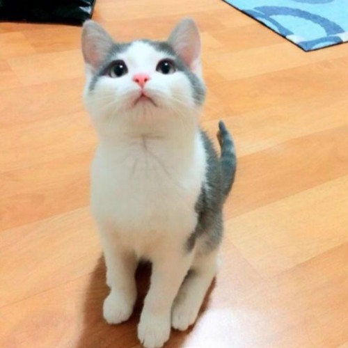 Stream Judas Priest Electric Eye karaoke by astrotraindt Listen