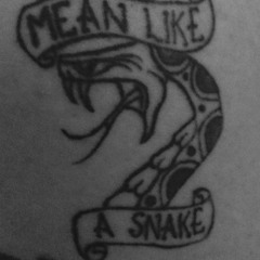 Mean Like A Snake