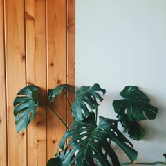 patr00_lost&found_2008