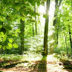 مبكي وموثر اعذب صوت قران تسمعه في حياتك