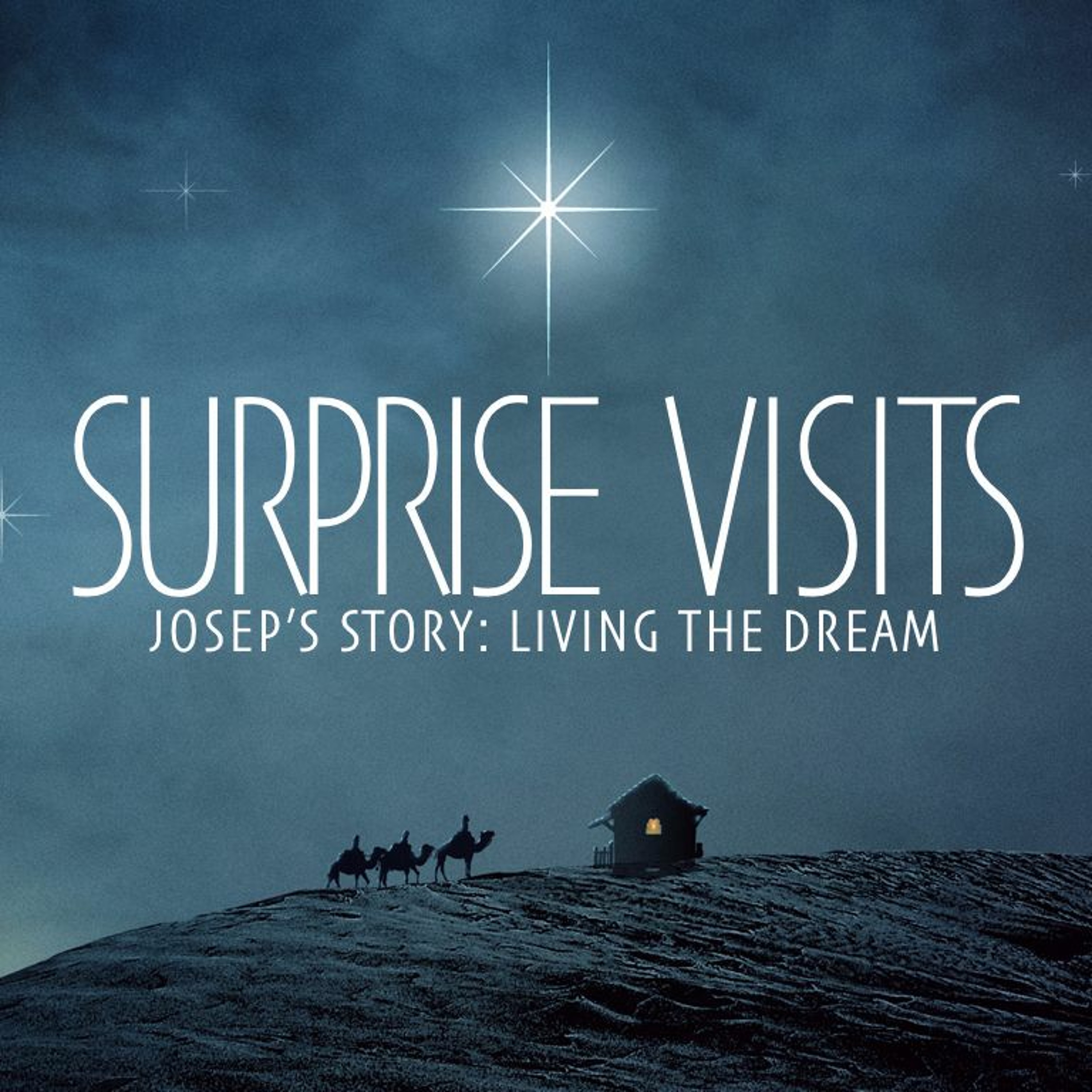 Surprise Visits Part 3 - Mary's Story episode artwork
