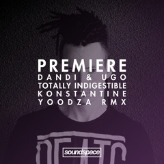 PREMIERE: Dandi & Ugo - Totally Indigestible (Konstantine Yoodza Remix)
