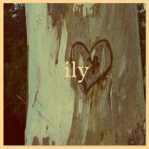 ily (w/ pronouncedyea)