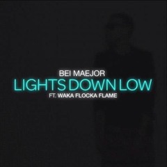 Bei Maejor  Waka Flocka Flame  djpolyrasta - Lights Down Low Les Twins [2Beats remix]