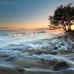 Ebb and Flow