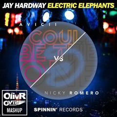 Jay Hardway vs Avicii & Nicky Romero - Electric Elephants vs I Could Be The One (OlivR Ovii mashup)