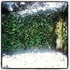 Angel In The Snow (Elliott Smith Cover)