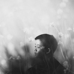 Lê Cát Trọng Lý - Đi Qua Bóng Đêm