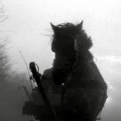 Turin Horse