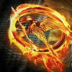 PHOENIX THEORIE