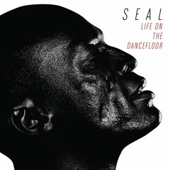 Seal - Life On The Dancefloor (Queensway Remix) Free 320kb Download