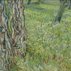 ANOTHER FOREST (2015)