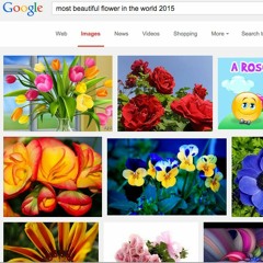 MARSHALL PARK IS AN OK PLACE TO WATCH THINGS GO TO DIE