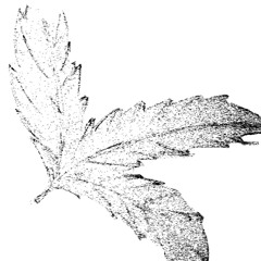 Leaf Catalogue