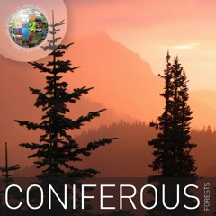 Coniferous Forests Demo