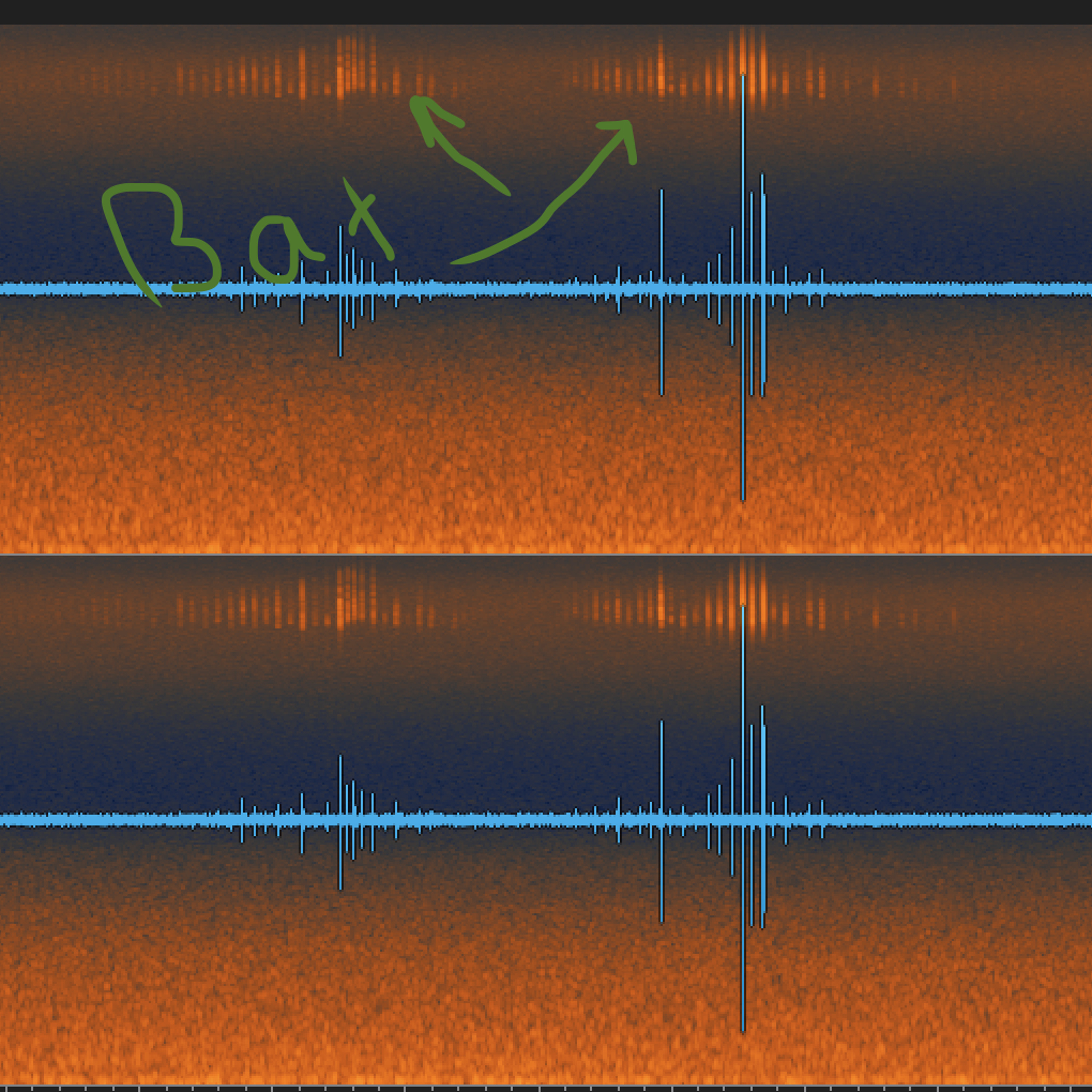 Northwest Soundscapes