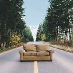 Old Oaks and Pine Trees