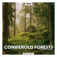 CONIFEROUS FORESTS | Demo