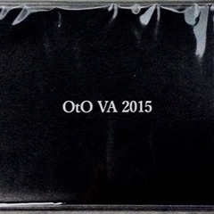 OtO VA 2015 _ side A _ Birgit Ulher / Gregory Büttner - "Olinguito" (excerpt)