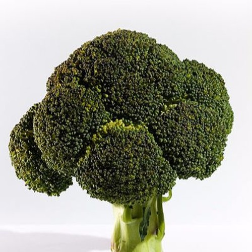 Power Of Broccoli (Work in Progress)