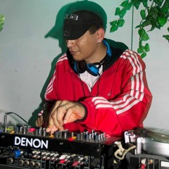 A MIS 16 RMX DUB - DJ NEGRO DUB