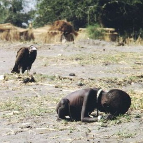 Stream Posts 12-15-2015