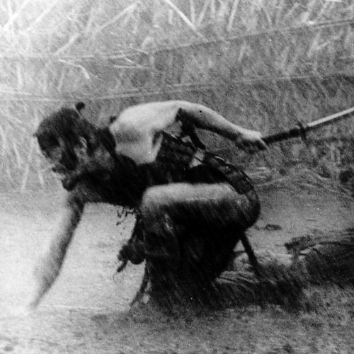 Save Our Samurais