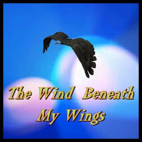 THE WIND BENEATH MY WINGS Roger Whittaker (cover version) by Malky