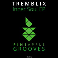 Tremblix - Expedition (Original Mix) [Pineapple Grooves]
