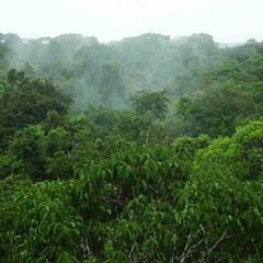 Souviens - Toi (Instrumental)